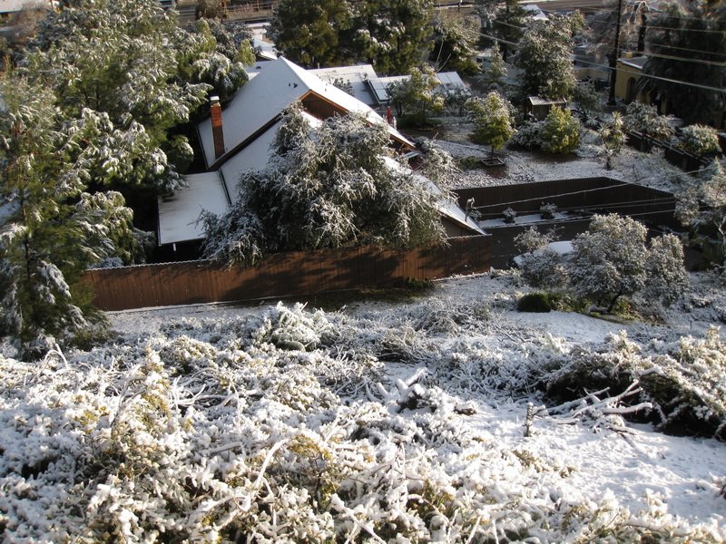 alpinetjimg_4848.jpg