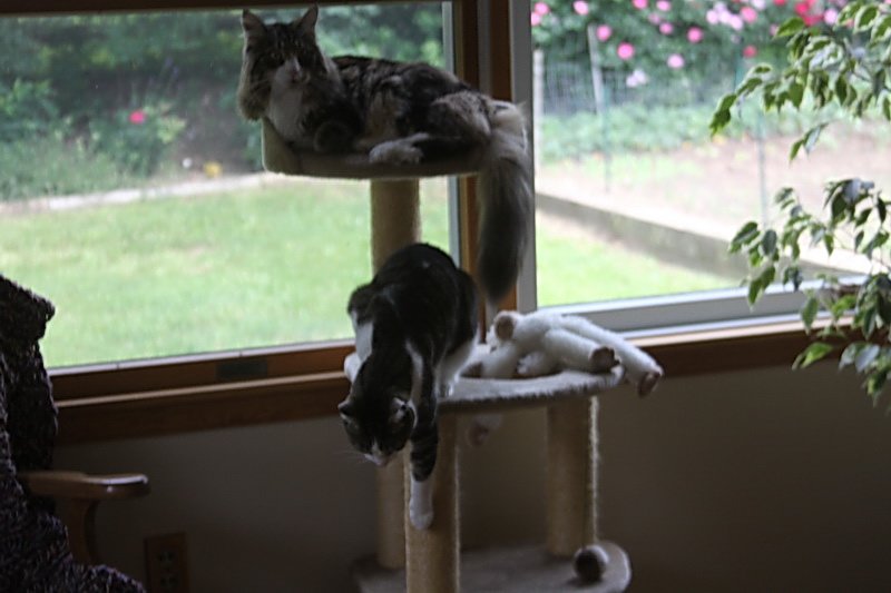 apaimg_5794.jpg
