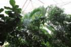 paimg_5674_small.jpg