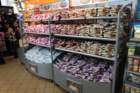 paimg_5681_small.jpg
