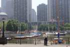 paimg_5738_small.jpg