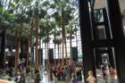 paimg_5759_small.jpg