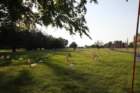 paimg_5855_small.jpg