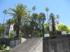 pchsouthimg_5230_small.jpg