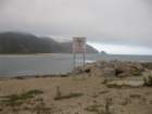pchsouthimg_5418_small.jpg