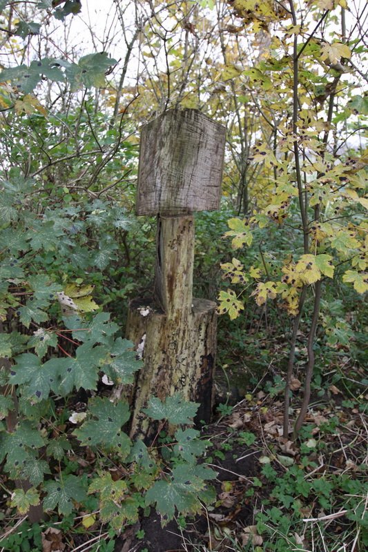 dk28fricbimg_2840.jpg