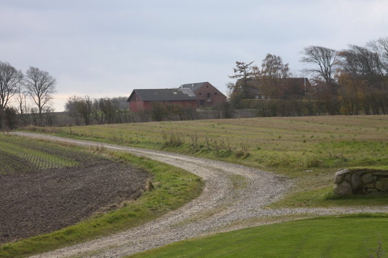 dk28fricbimg_2858.jpg
