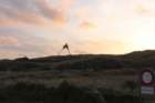 dk28fricbimg_2954_small.jpg