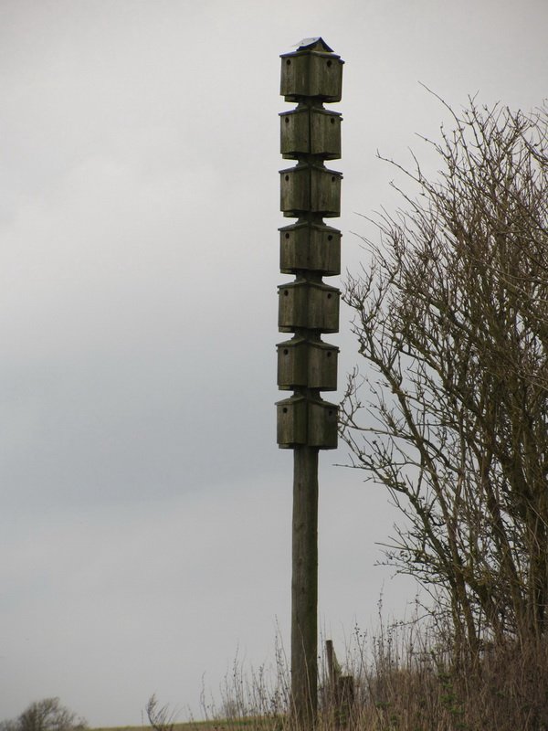 photo21.jpg
