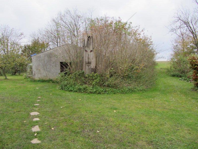 photo40.jpg