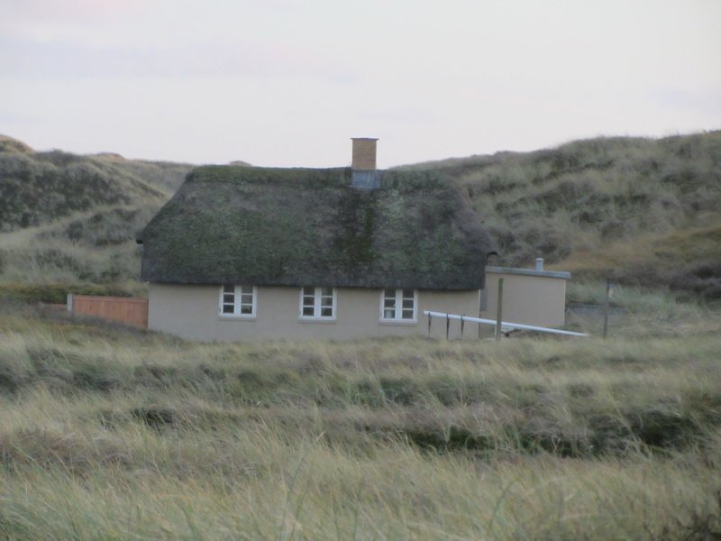 photo95.jpg