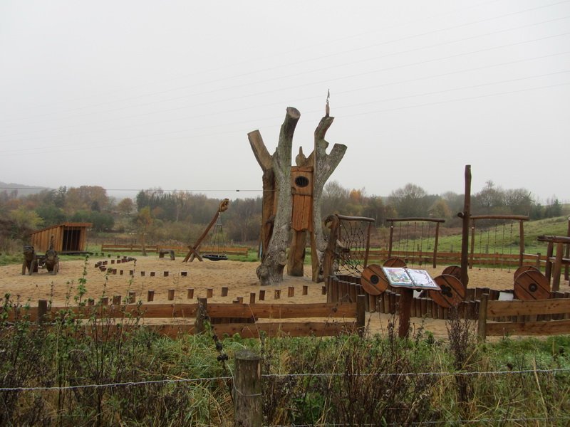 photo13.jpg