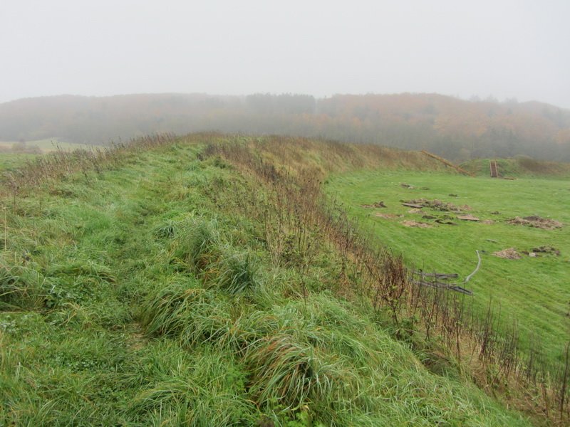 photo29.jpg