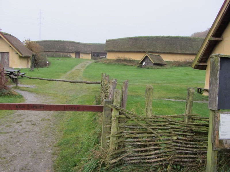 photo3.jpg