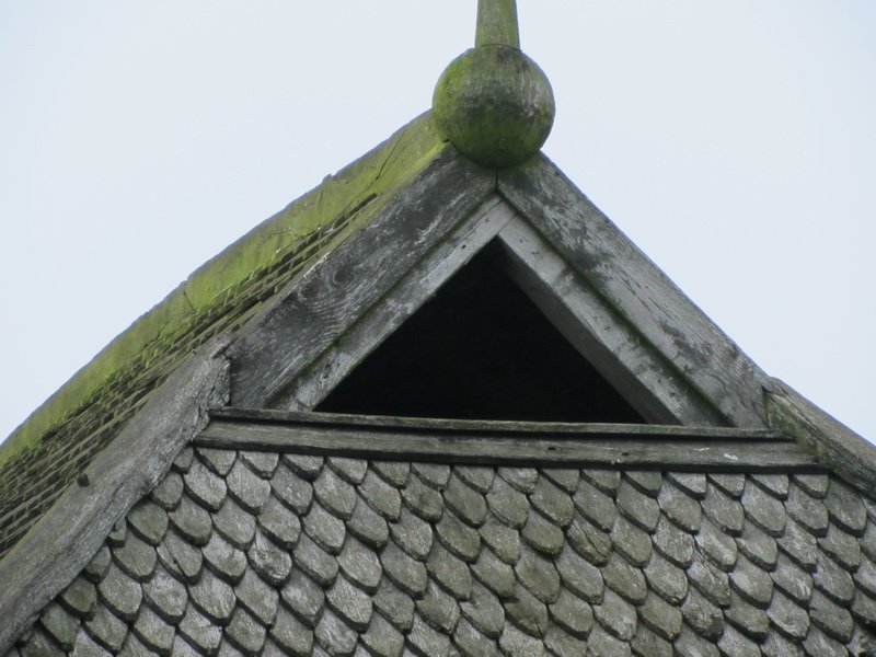 photo33.jpg