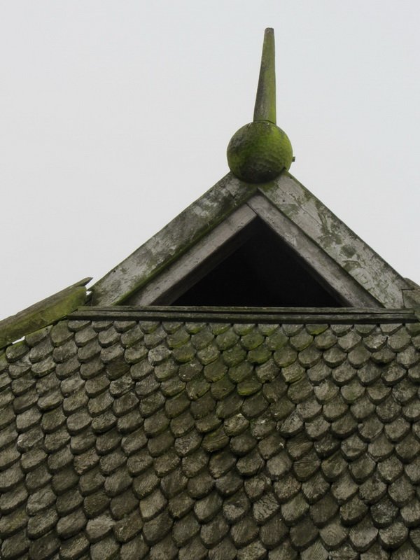 photo37.jpg
