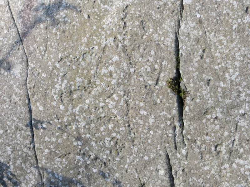 photo17.jpg