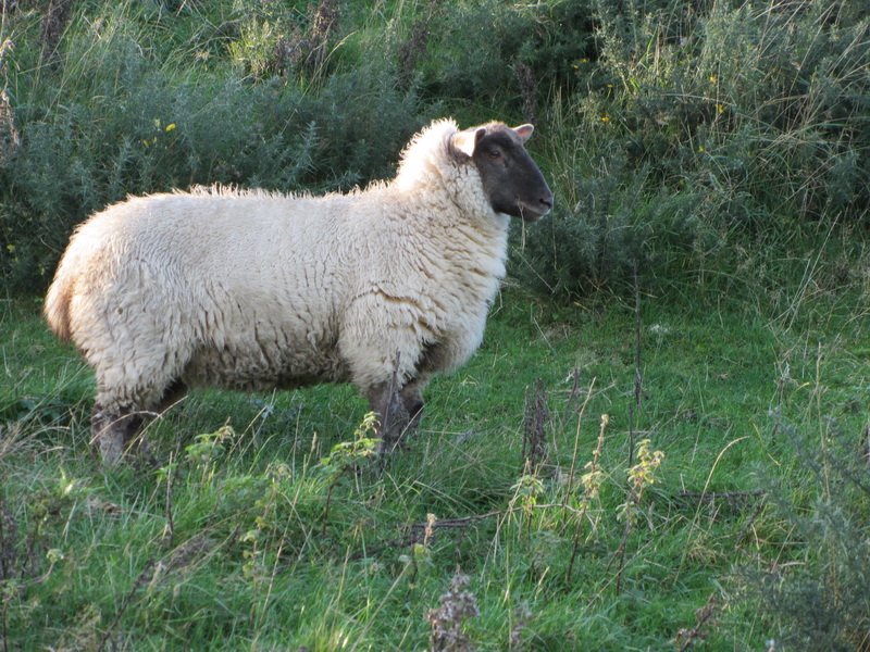 photo20.jpg