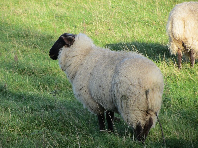 photo22.jpg