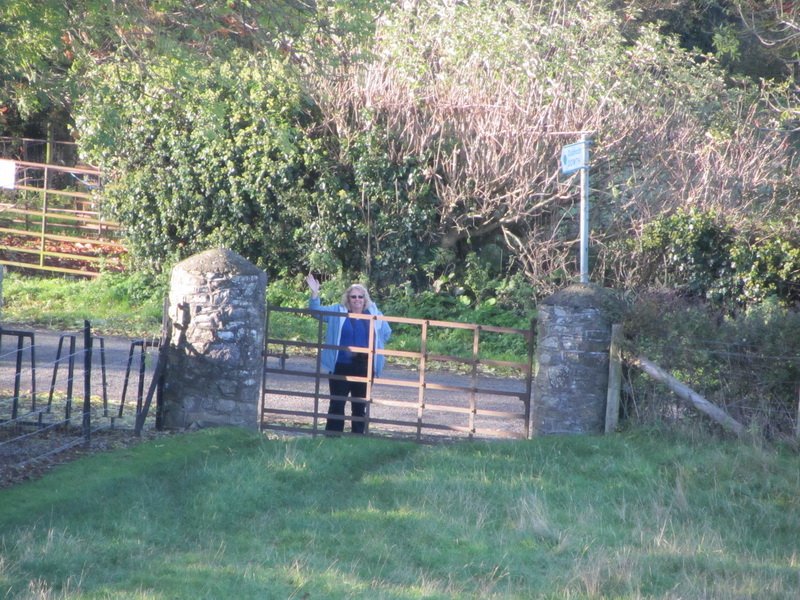 photo26.jpg