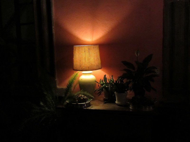 photo274.jpg
