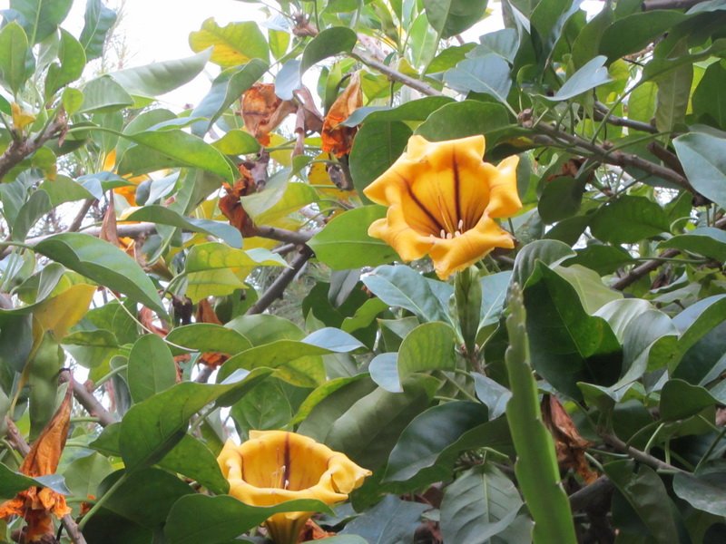 photo50.jpg