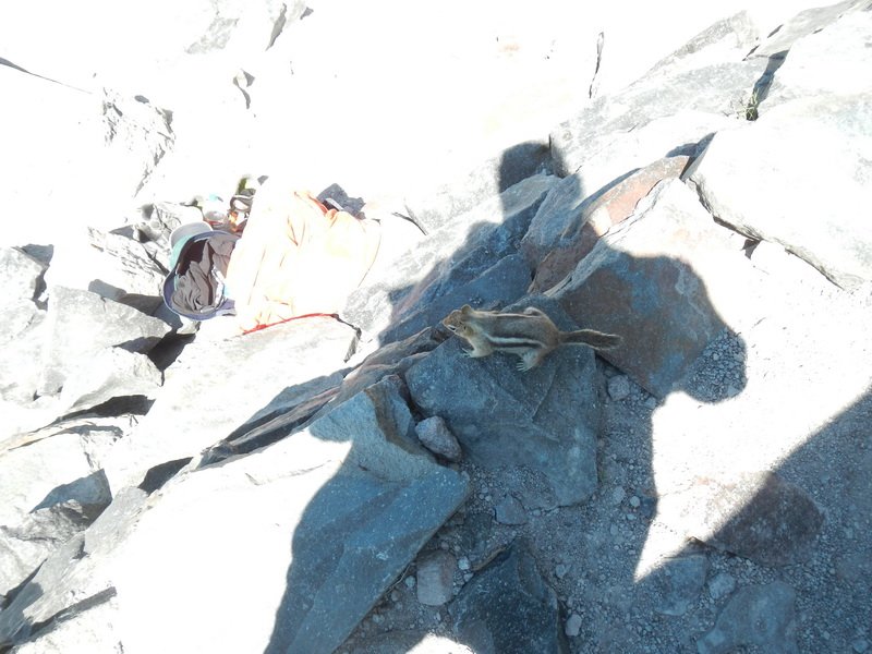 crvacadscn0504.jpg