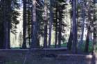 lavaca50dimg_5093_small.jpg