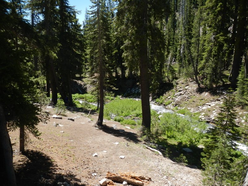 lavacadscn0616.jpg
