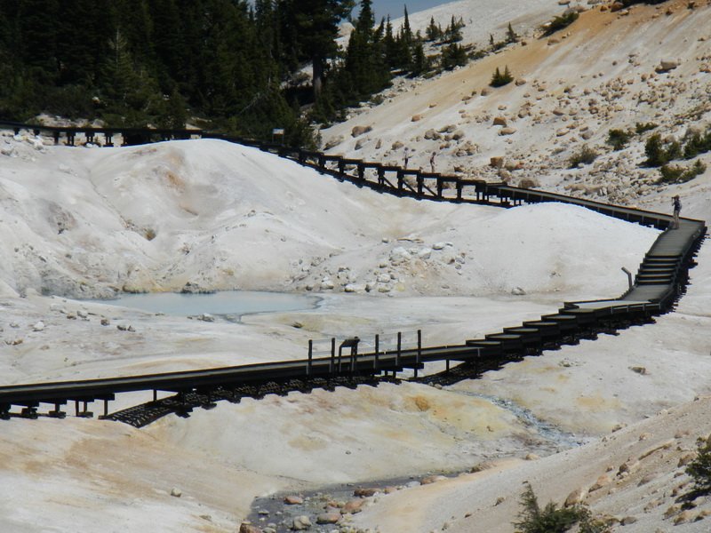 lavacadscn0641.jpg