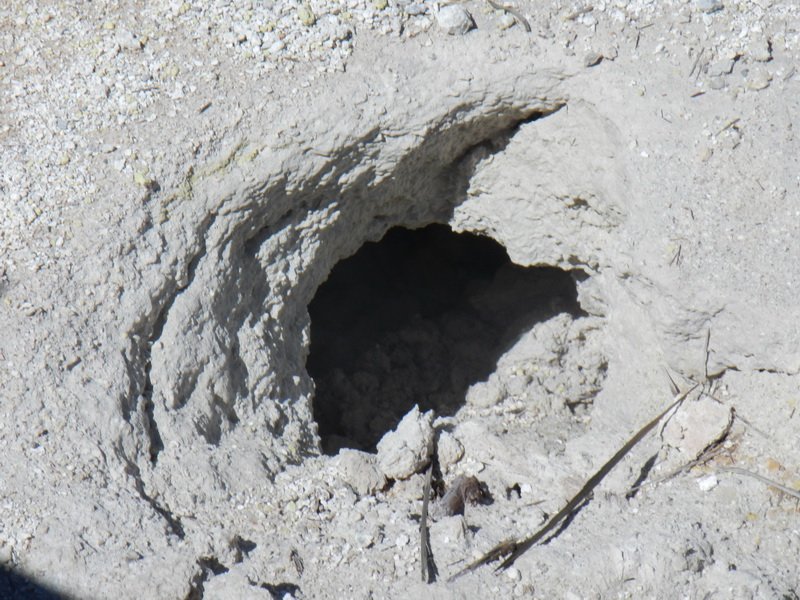 lavacadscn0649.jpg