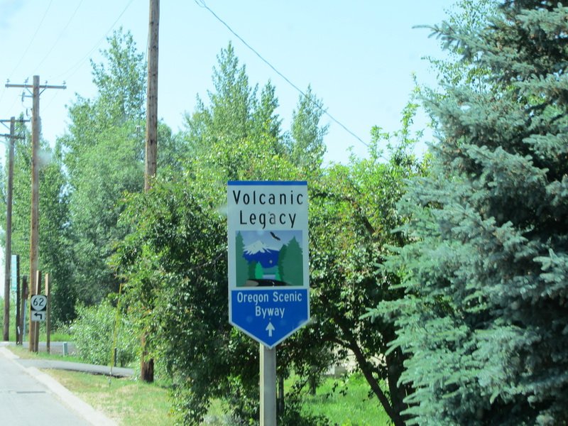 photo12.jpg