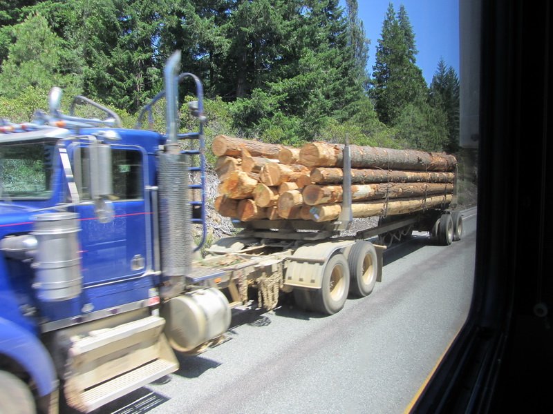 photo48.jpg