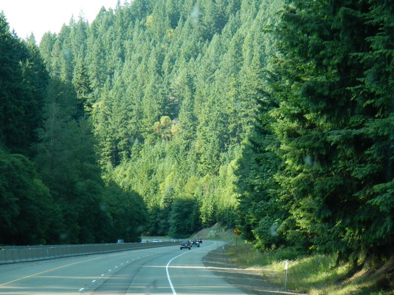 povacadscn0351.jpg