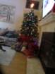 xmas13img_7056_small.jpg