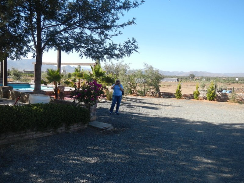 winedscn2396.jpg