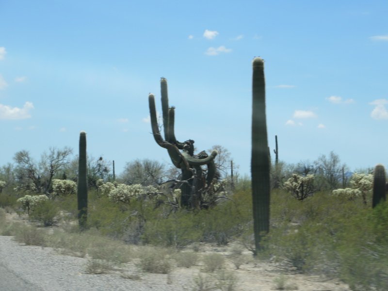 cbimg_0326.jpg