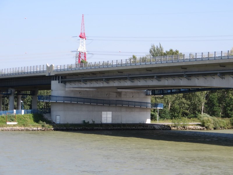 melviewed17cbimg_1706.jpg