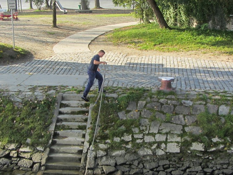 mandeimg_2492.jpg