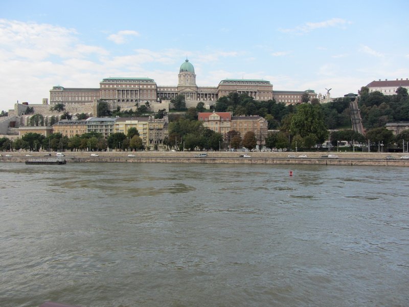 mandeimg_3111.jpg