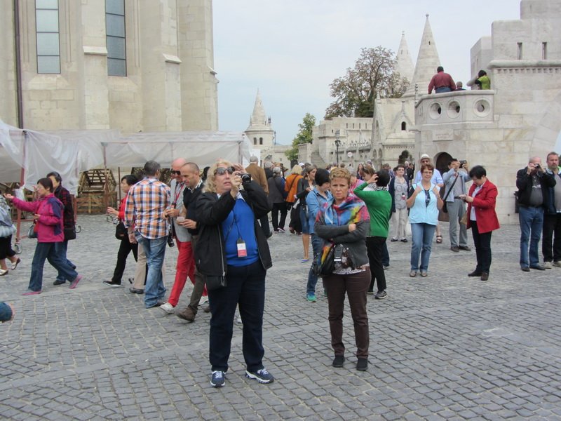 mandeimg_3224.jpg