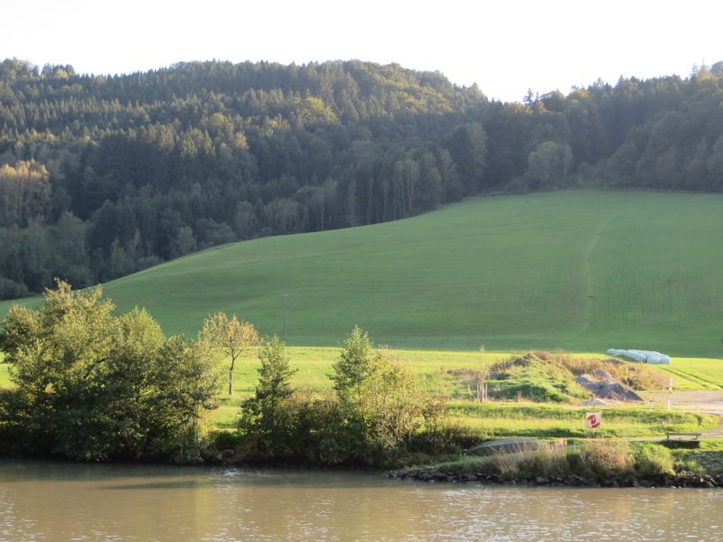 pastue16cbimg_1451.jpg