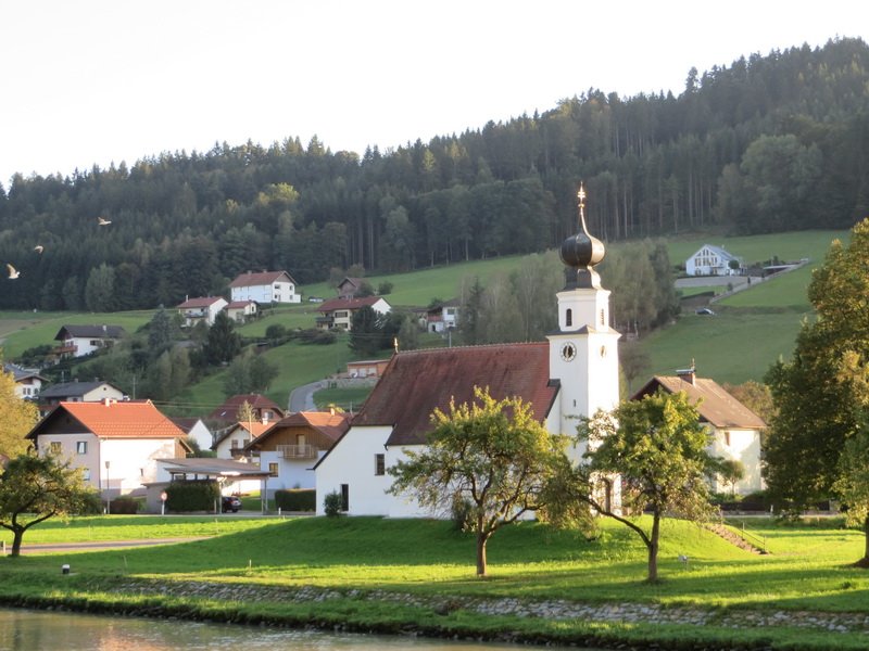 pastue16cbimg_1454.jpg