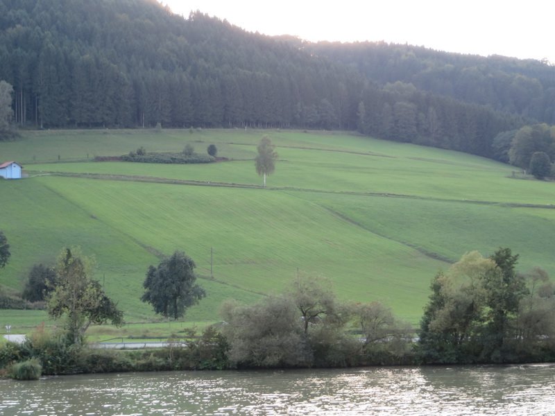 pastue16cbimg_1472.jpg