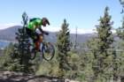 bbearimg_9035_small.jpg