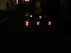 hweenrimg_2577_small.jpg