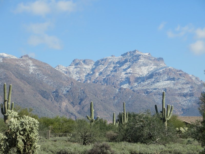 img_3403.jpg