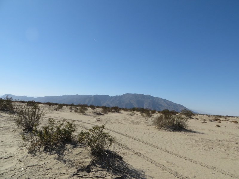 feb15img_3564.jpg