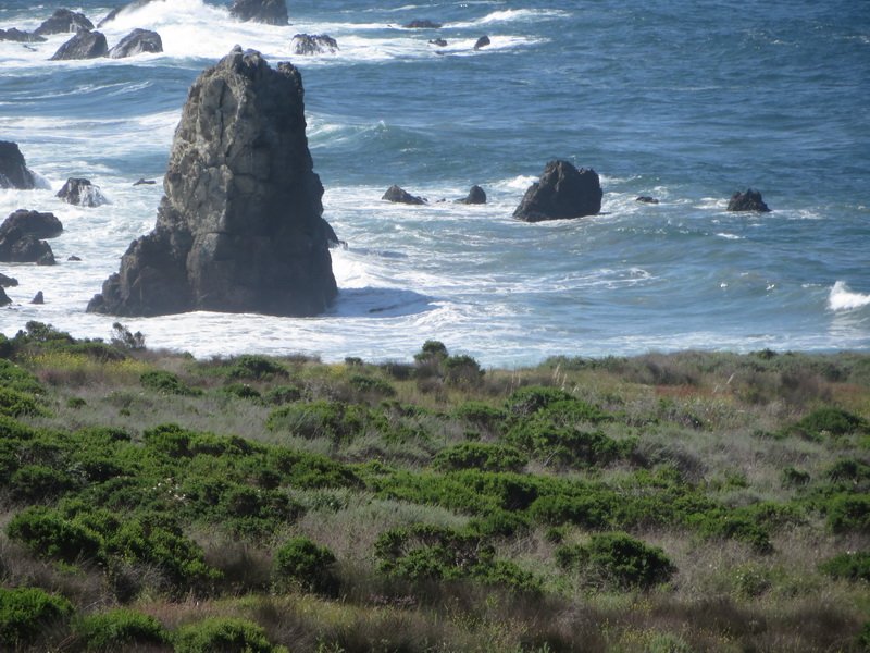 hwy1img_4444.jpg