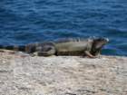 canimg_6010_small.jpg